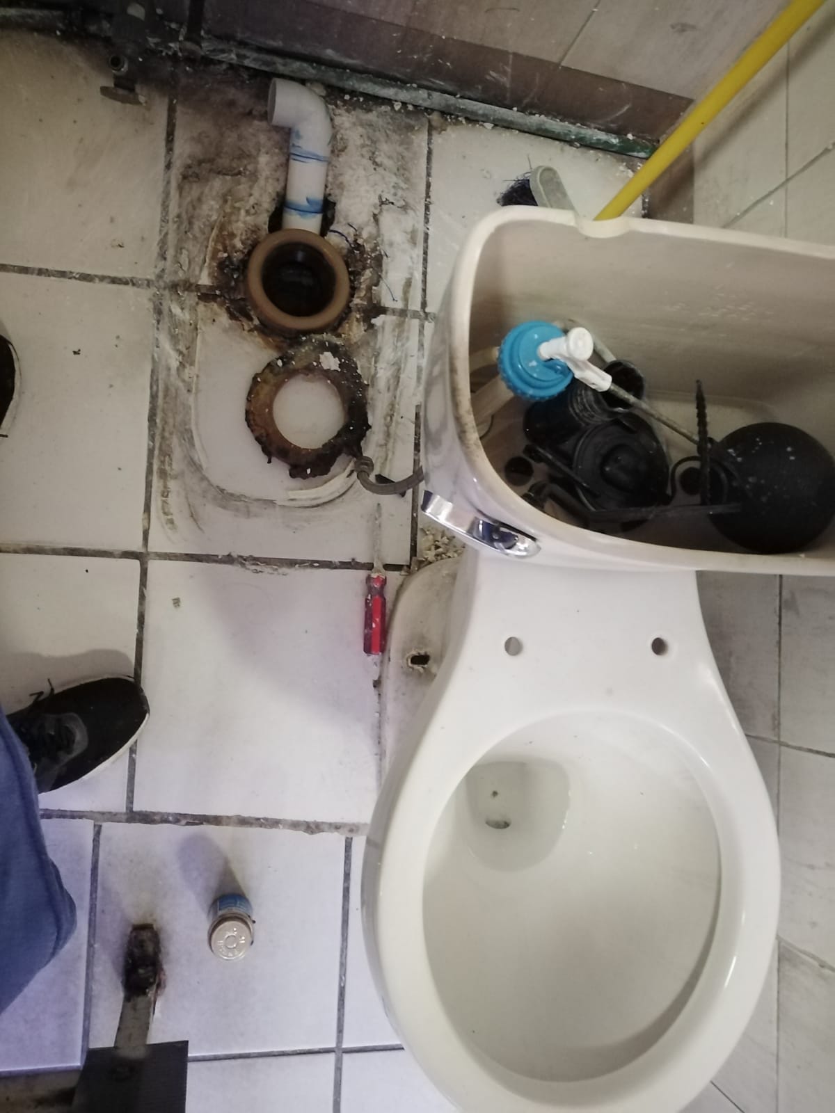 Instalación de sanitario